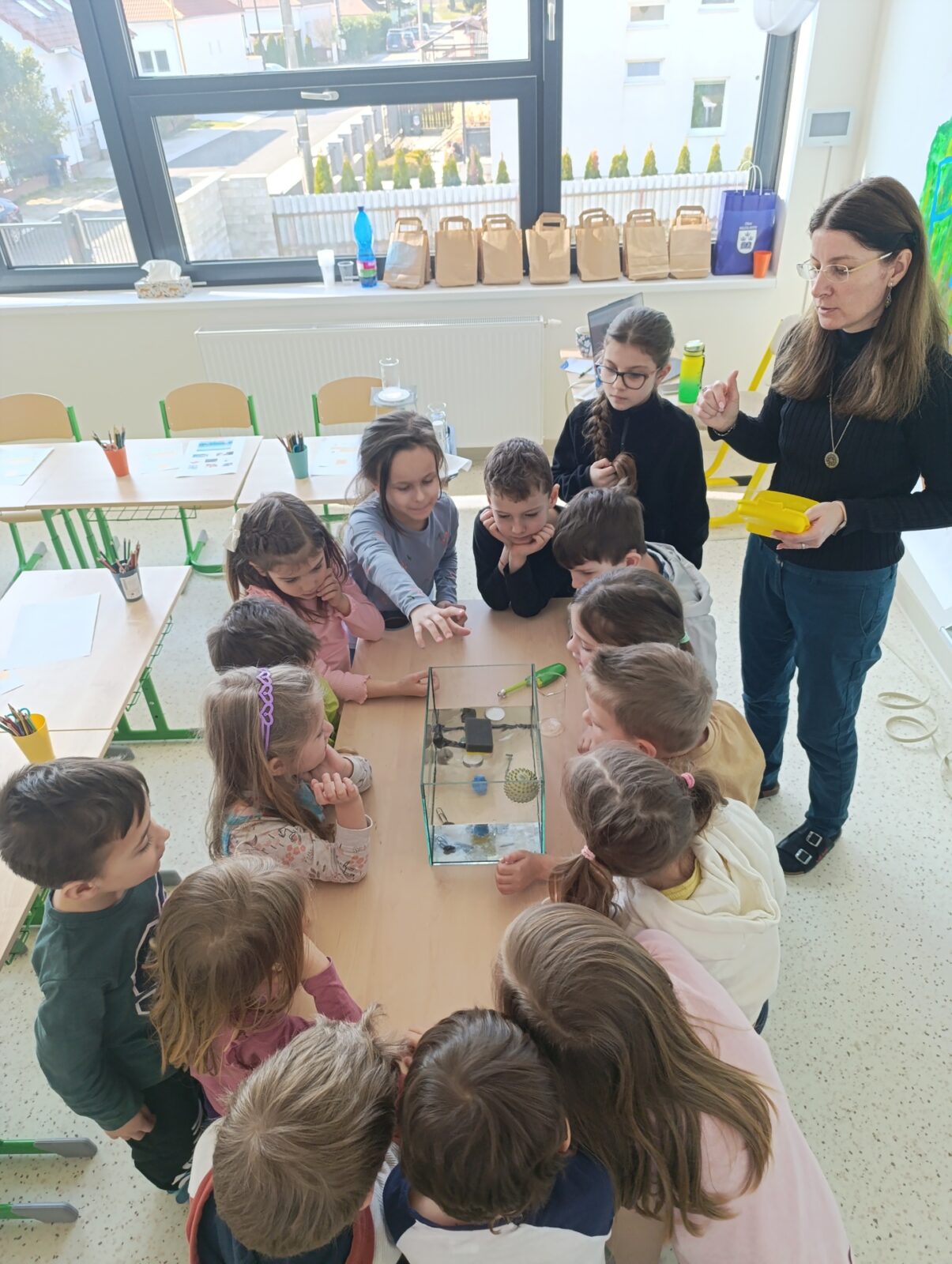 Spolupraca CMS a ZS Madony 29